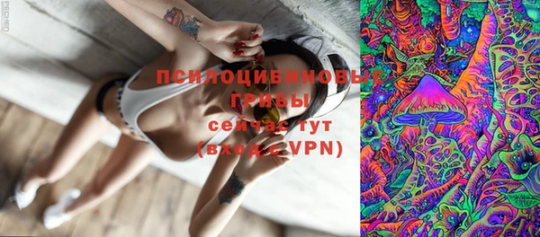 ECSTASY Абаза