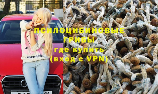 ECSTASY Абаза