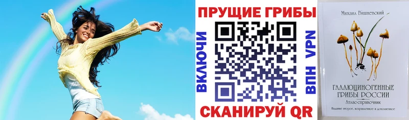 Псилоцибиновые грибы Cubensis  Нелидово 